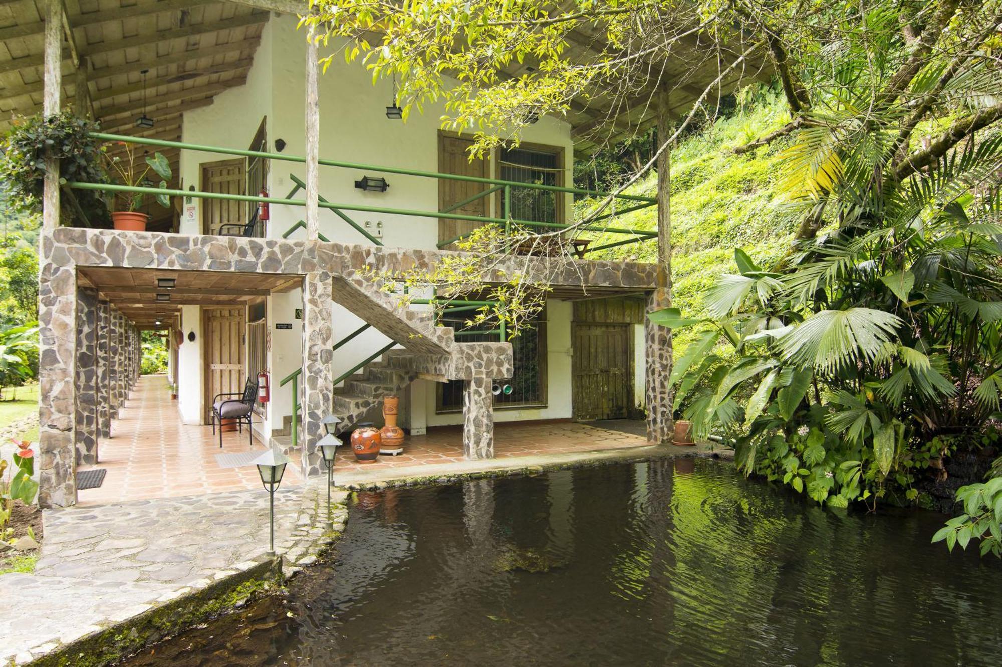 Bosque De Paz Reserva Biologica Toro Amarillo Room photo