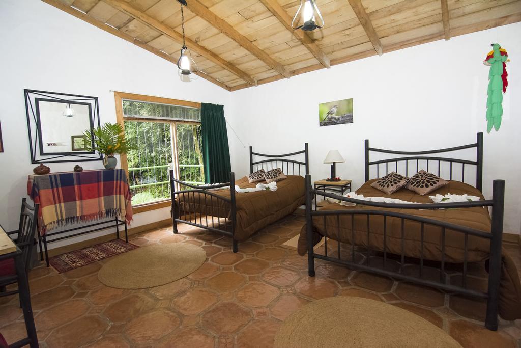 Bosque De Paz Reserva Biologica Toro Amarillo Room photo