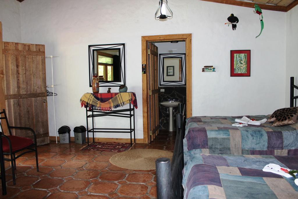 Bosque De Paz Reserva Biologica Toro Amarillo Room photo