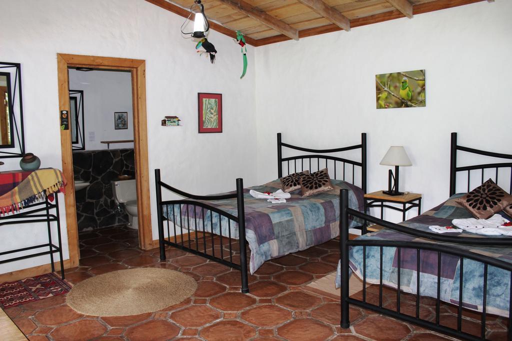 Bosque De Paz Reserva Biologica Toro Amarillo Room photo